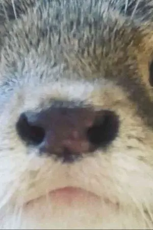 AXIOM STONE: Divine Judgment