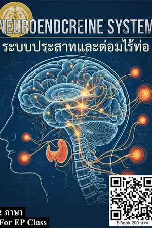 ปกนิยาย NEUROENDOCRINE SYSTEM ระบบประสาทและต่อมไร้ท่อ