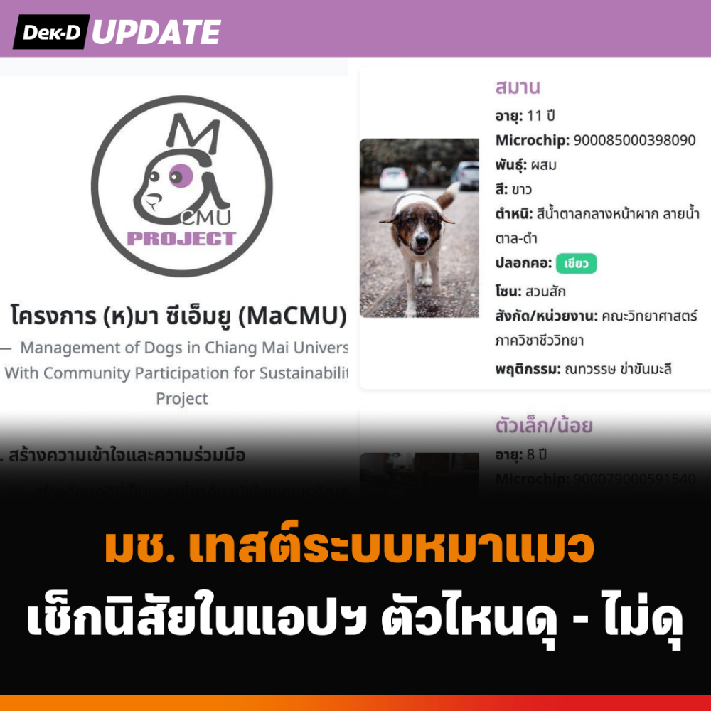 มช. เทสต์ระบบหมาแมว เช็กนิสัยในแอปฯ ตัวไหนดุ - ไม่ดุ