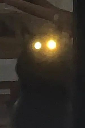 ปกนิยาย ฉันเกลียดฤดูร้อน