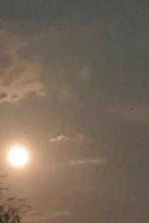 ปกนิยาย สเน่หา