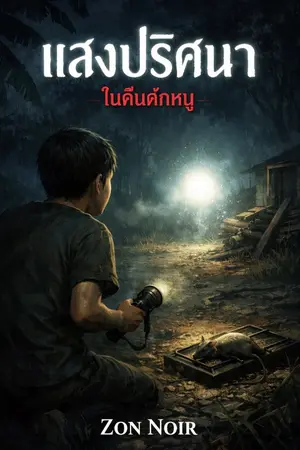 ปกนิยาย เจอเเสงปริศนา