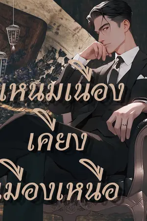 ปกนิยาย แหนมเนืองเคียงเมืองเหนือ