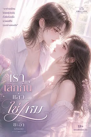 ปกนิยาย เราเลิกกันแล้ว…ใช่ไหม