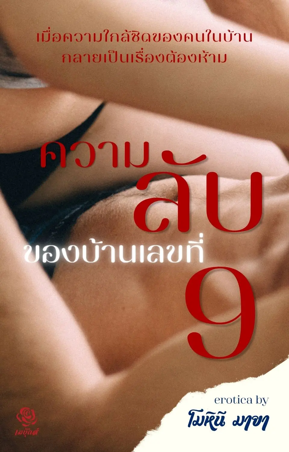 ปกนิยาย ความลับของบ้านเลขที่ 9