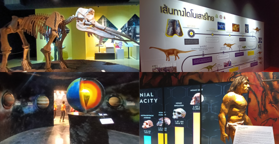 ภาพจาก https://radiolampang.prd.go.th/th/content/page/index/id/238744