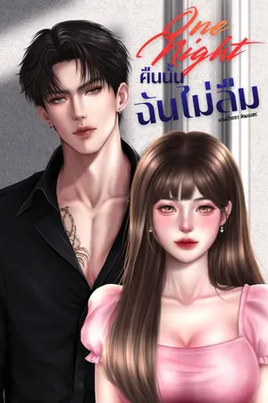 ปกนิยาย One Night คืนนั้นฉันไม่ลืม