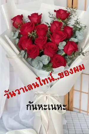ปกนิยาย วันวาเลนไทน์..ของผม