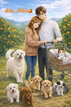 ปกนิยาย เริ่มรัก ที่ไร่ส้ม