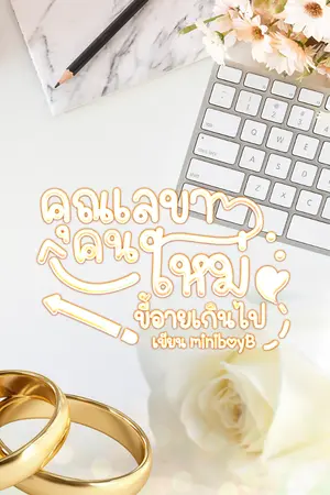 ปกนิยาย คุณเลขาคนใหม่ขี้อายเกินไปแล้ว #อ่านฟรี (Set feel good)