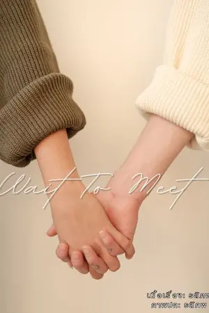 ปกนิยาย Wait To Meet