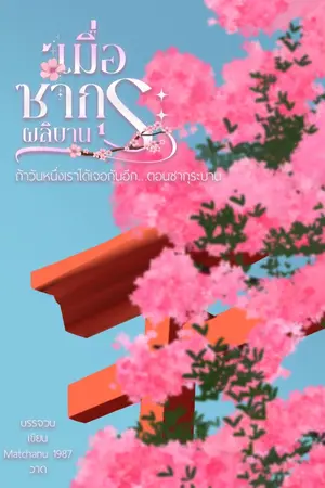 ปกนิยาย เมื่อซากุระผลิบาน