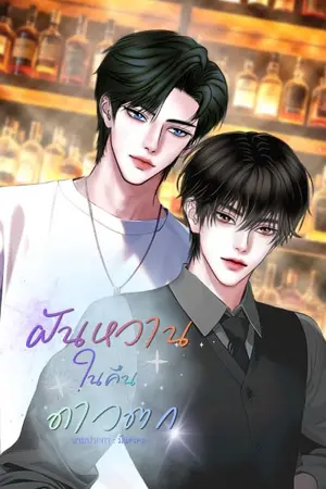 ปกนิยาย (มีE-book)ฝันหวานในคืนดาวตก