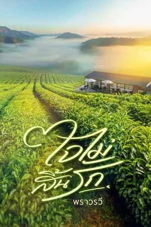 ปกนิยาย ใจไม่สิ้น...รัก