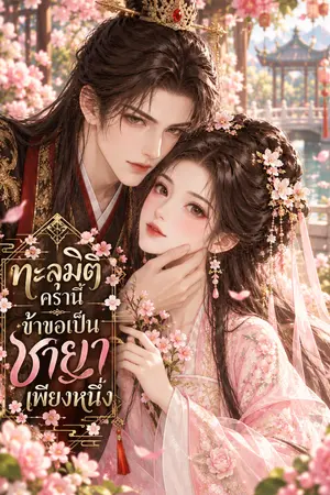 ปกนิยาย ทะลุมิติครานี้ ข้าขอเป็นชายาเพียงหนึ่ง