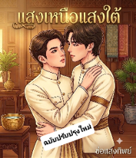 ปกนิยาย แสงเหนือแสงใต้(ฉบับปรับปรุงใหม่)