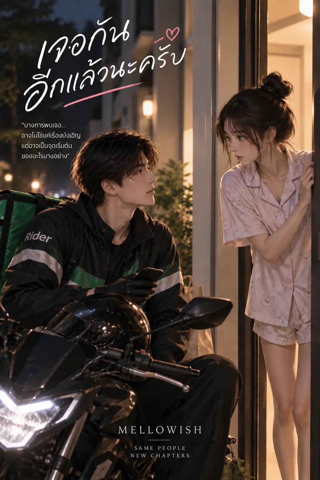 ปกนิยาย เจอกันอีกแล้วนะครับ