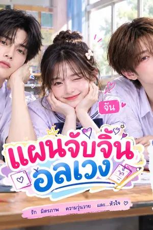ปกนิยาย แผลจับจิ้นอลเวง