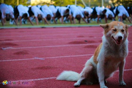 โรงเรียนน่าอยู่ (148) : โรงเรียนเตรียมทหาร (ต.ท.)