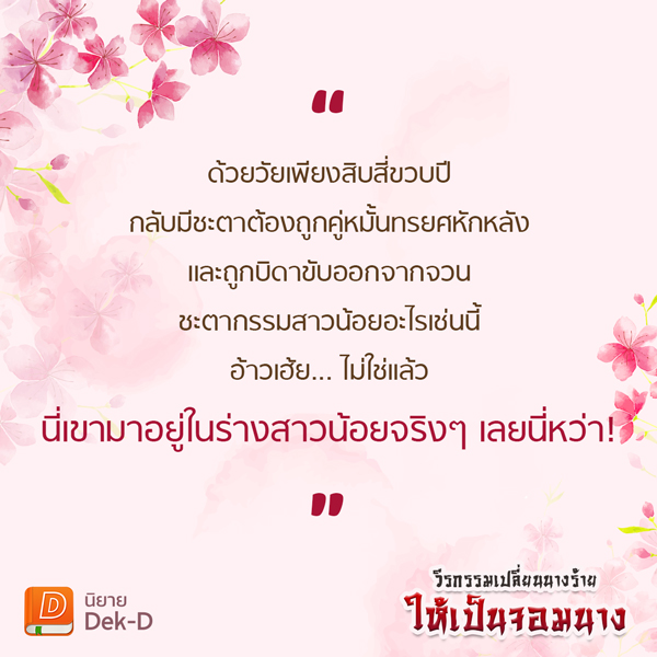 My Image 19