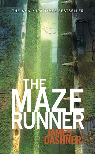 ว จารณ หน งส อ The Maze Runner จ ดจบของเขาวงกต พร อมประเด นสำค ญท เก ดข นในเร อง Dek D Com