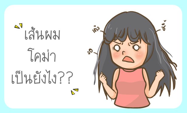 เส้นผม "โคม่า" เป็นแบบไหน?? เส้นผม "โคม่า" เป็นแบบไหน??