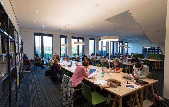 Cr. frankfurt.school