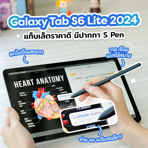 Samsung Galaxy Tab S6 Lite 2024