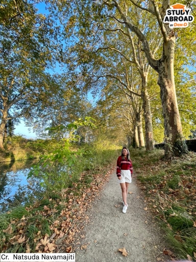 เดินเล่นริมคลอง Canal du Midi