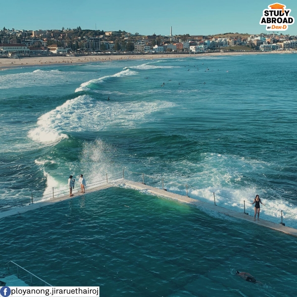 Bondi Beach 