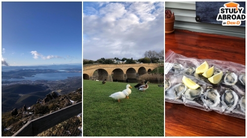 [จากซ้าย] 