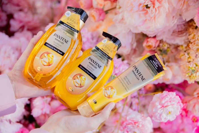 Moisture & Power Repair