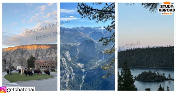 Summer 2025 - Yellowstone, Yosemite, Lake Tahoe