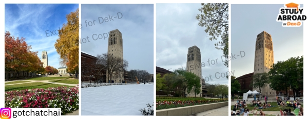 Burton Memorial Tower through Fall, Winter, Spring, and Summer. In Michigan, you experience every season - though winter takes its time.