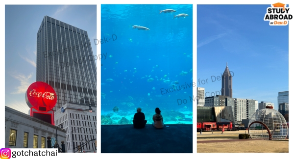 Fall 2024 - Atlanta, Georgia