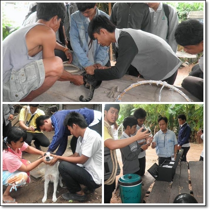 Image: แผนกวิชาสัตวศาสตร์ วิทยาลัยเกษตรและเทคโนโลยีนครราชสีมา