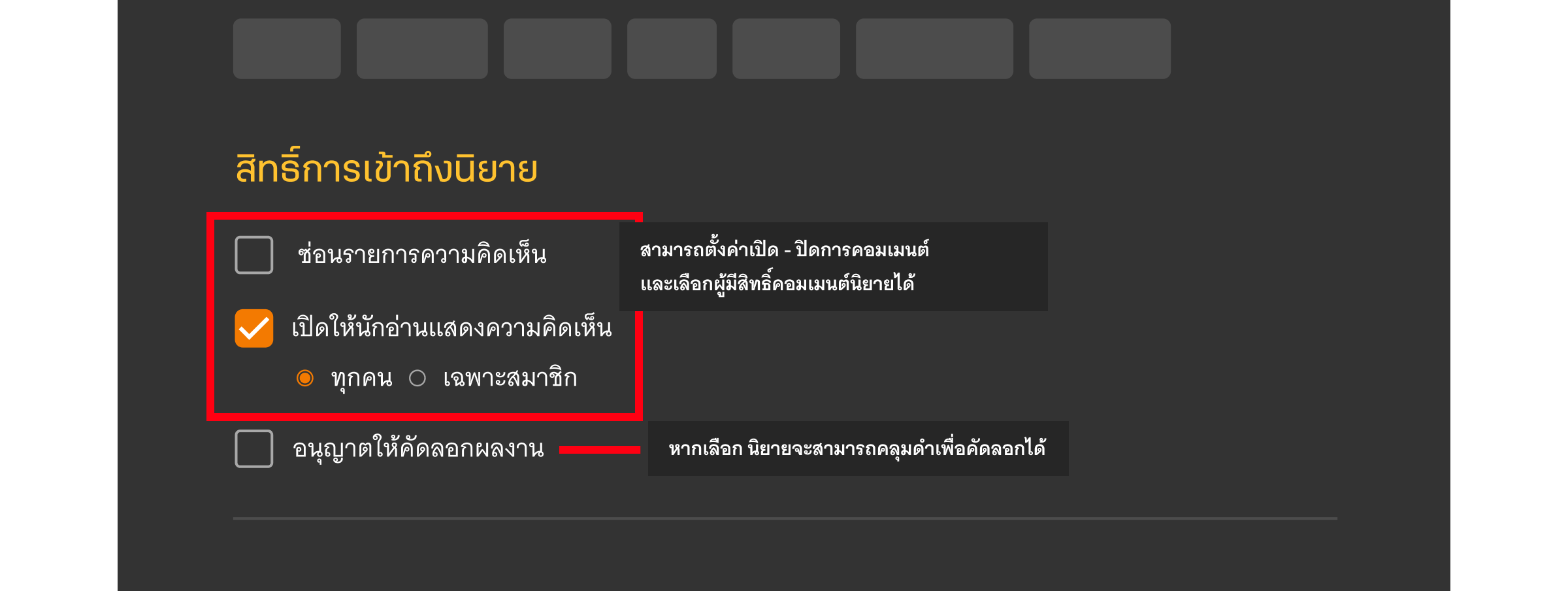 สิทธิ์การเข้าถึงนิยาย